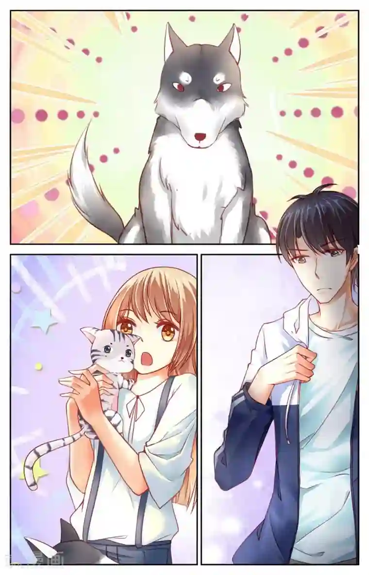 男神在隔壁第31话