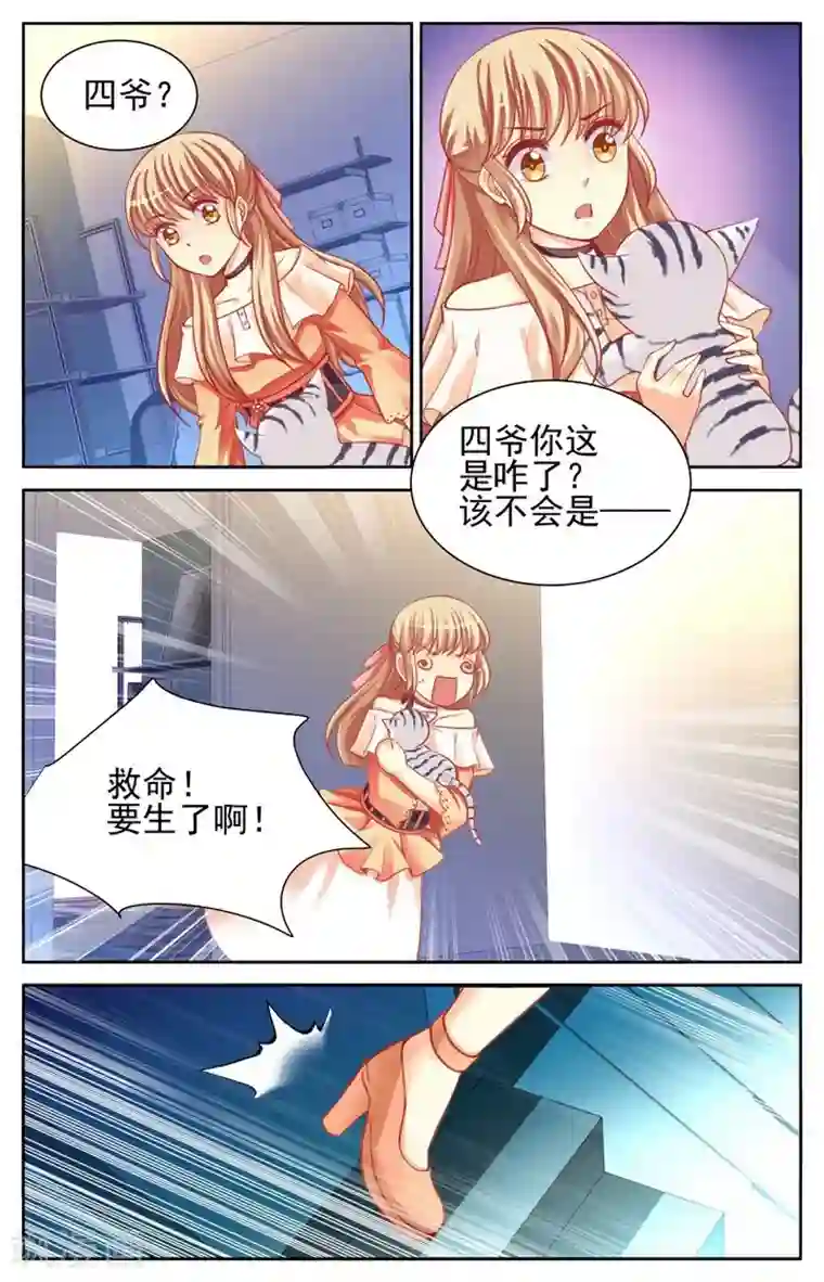 男神在隔壁第44话