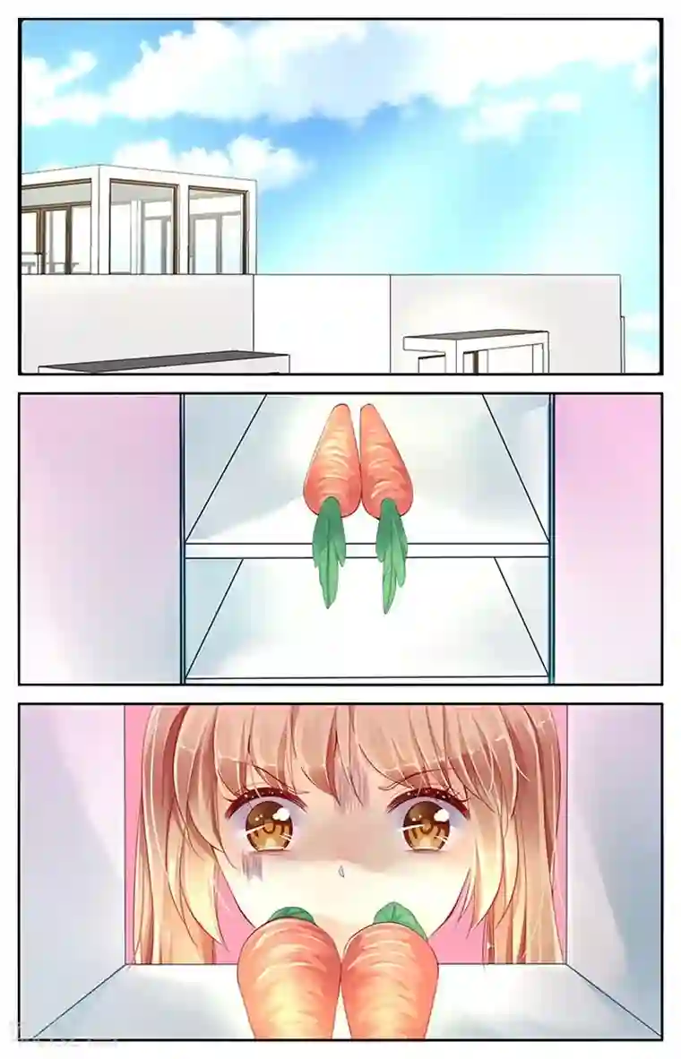 男神在隔壁第65话