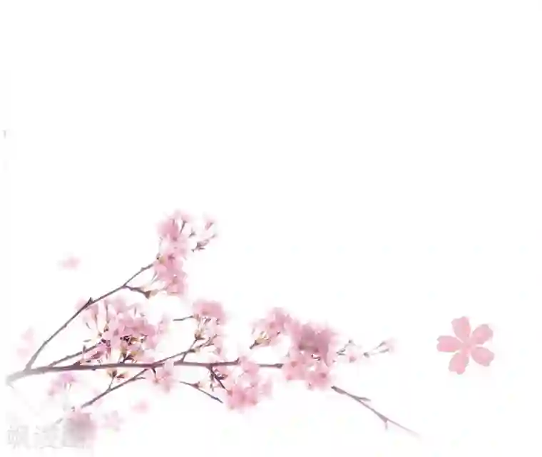 重生帝女乱天下第25话 夜访香闺