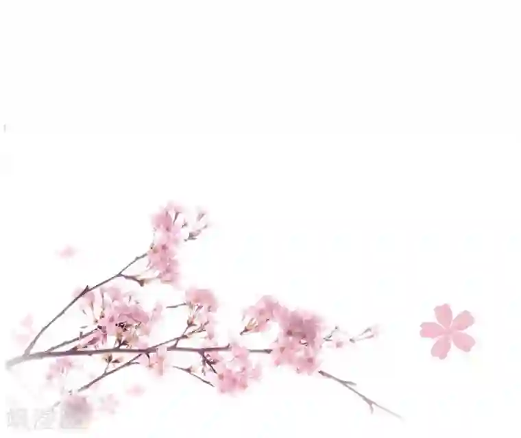 重生帝女乱天下第26话 富贵险中求