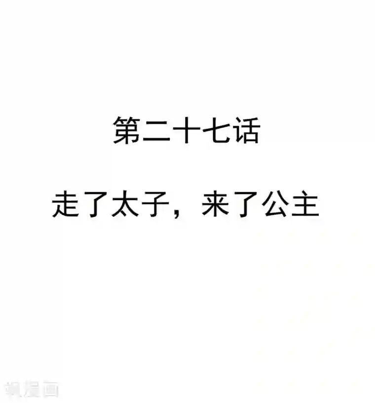 重生帝女乱天下第27话 走了太子，来了公主