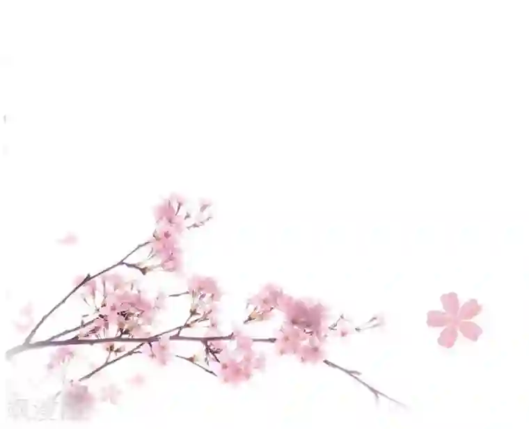 重生帝女乱天下第35话 贵妃娘娘来了