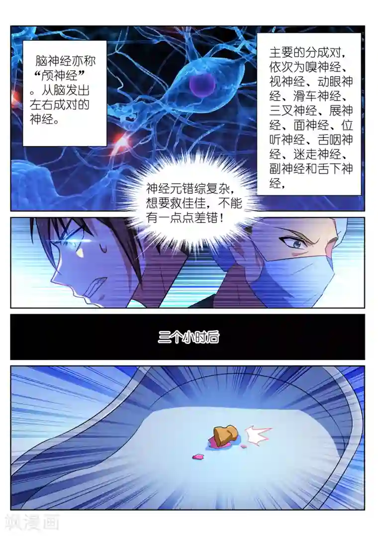 很纯很美好第252话