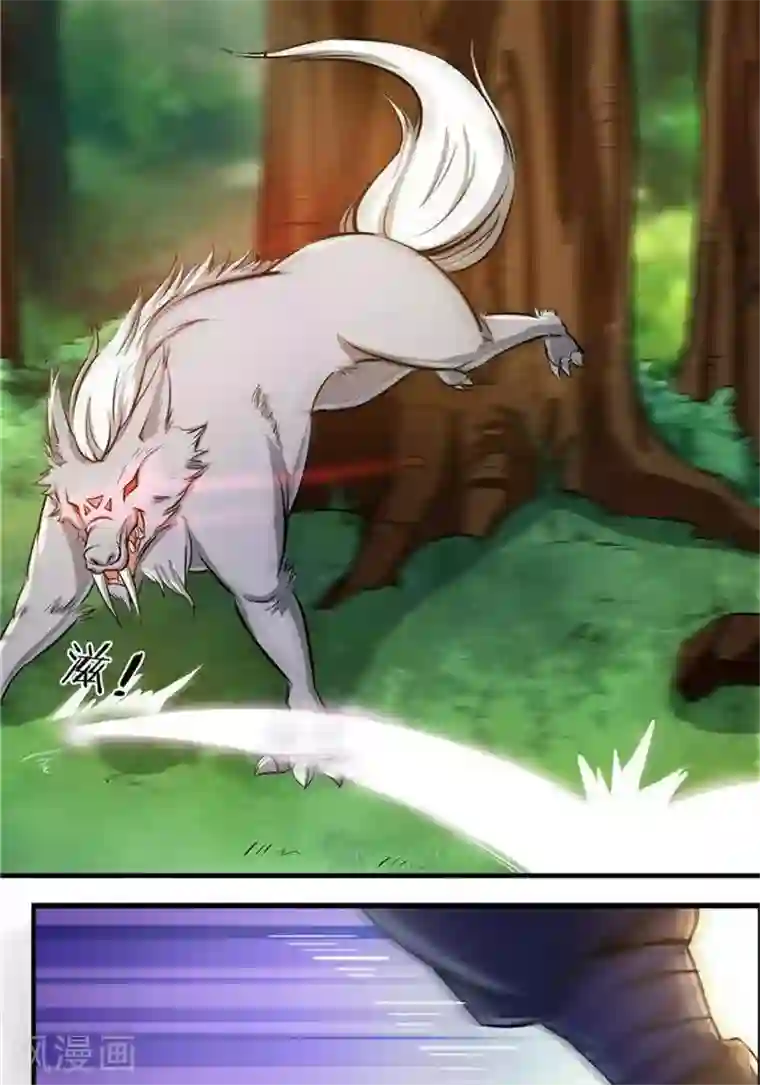 林飞传第20话 地灵果