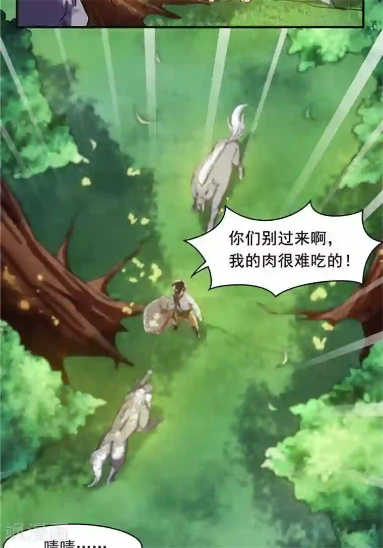 林飞传第20话 地灵果