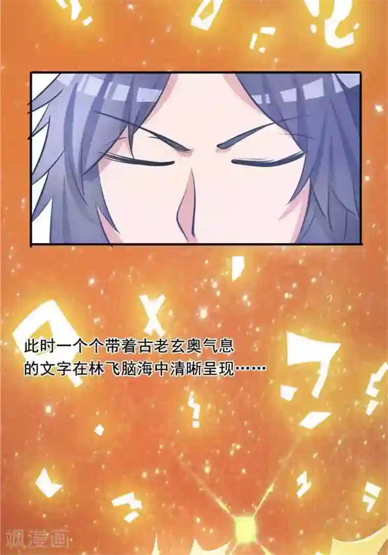 林飞传第30话 太阳金经