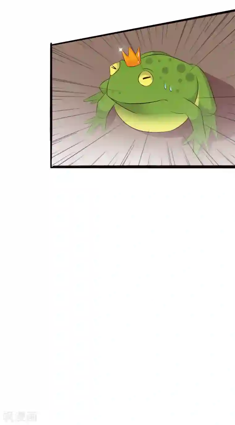 最强桃花运第35话 女人们才是我的后盾！