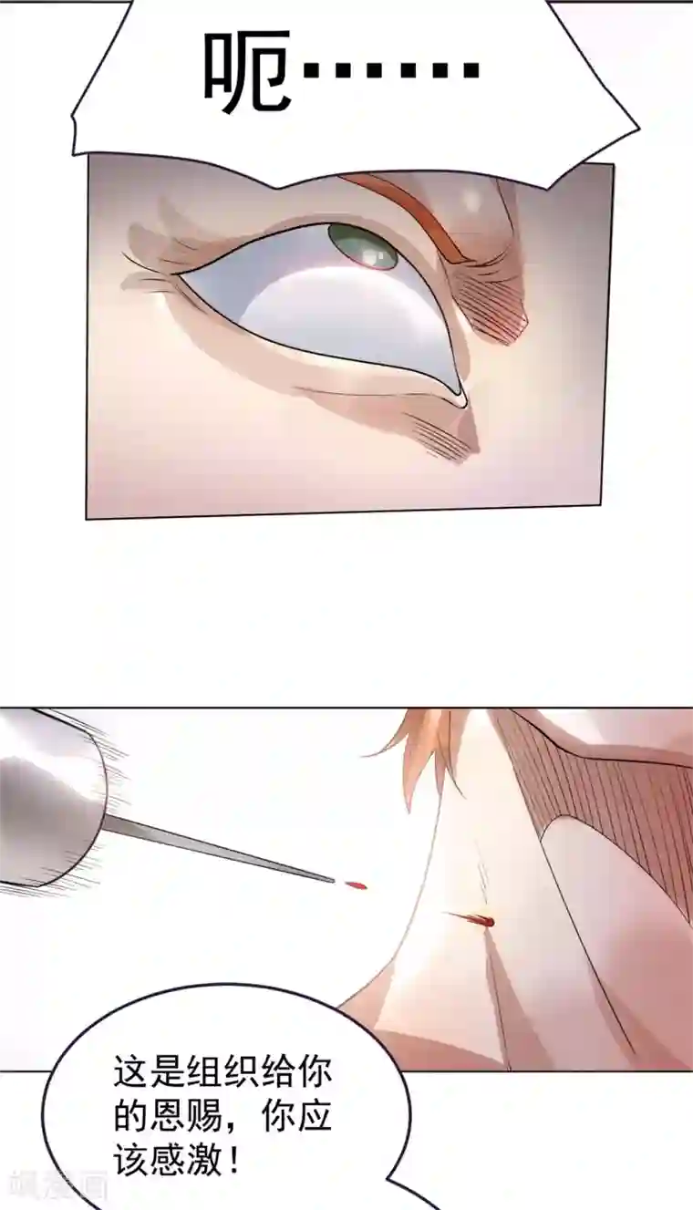 都市仙王第80话