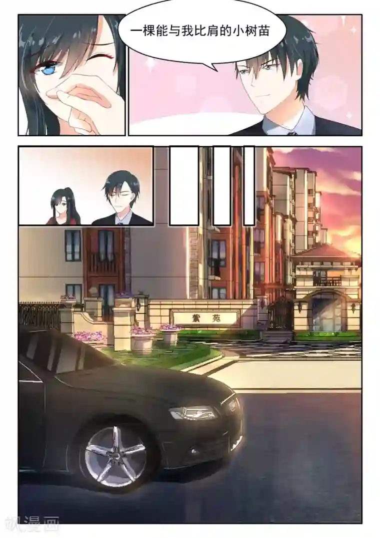 邪魅老公第75话 一棵大树