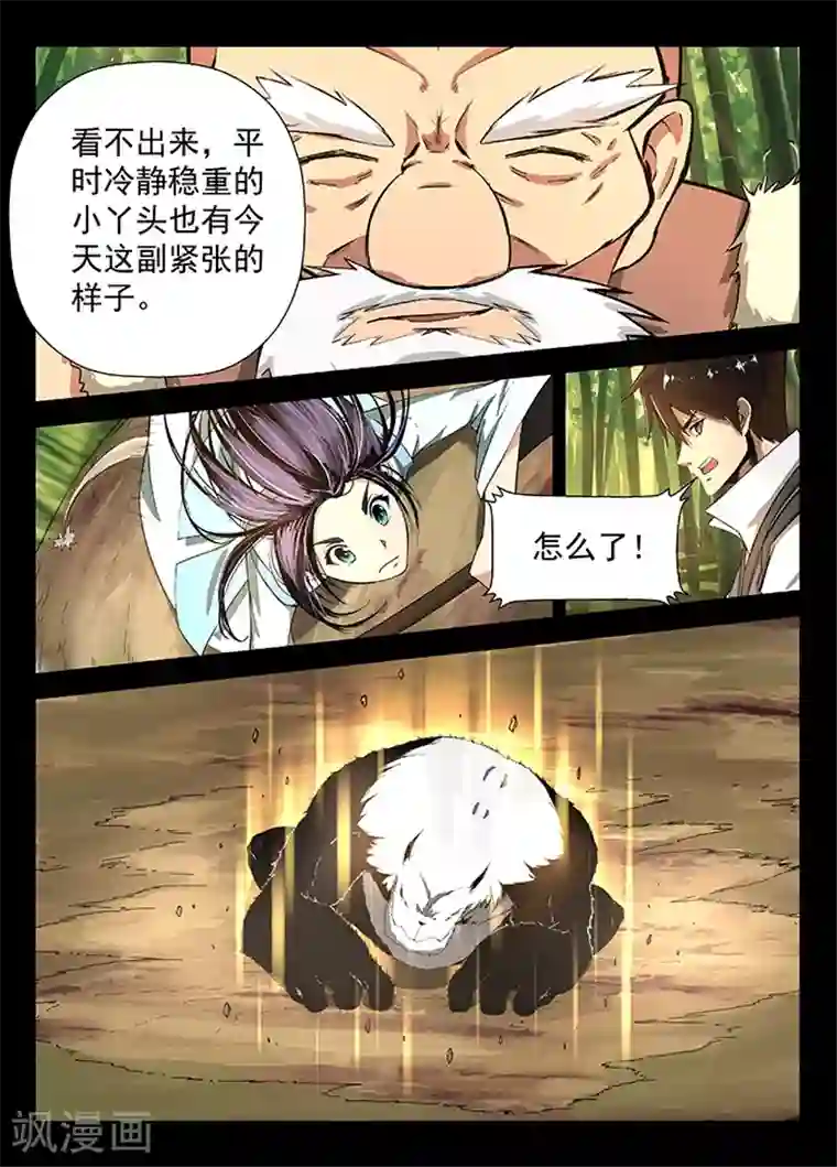 神武之灵第20话 冒险一试