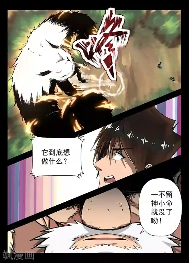 神武之灵第20话 冒险一试