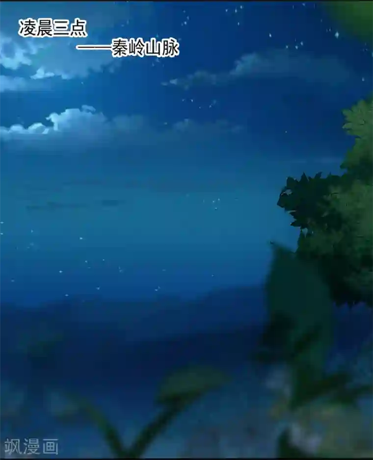 桃运高手第19话 机密任务