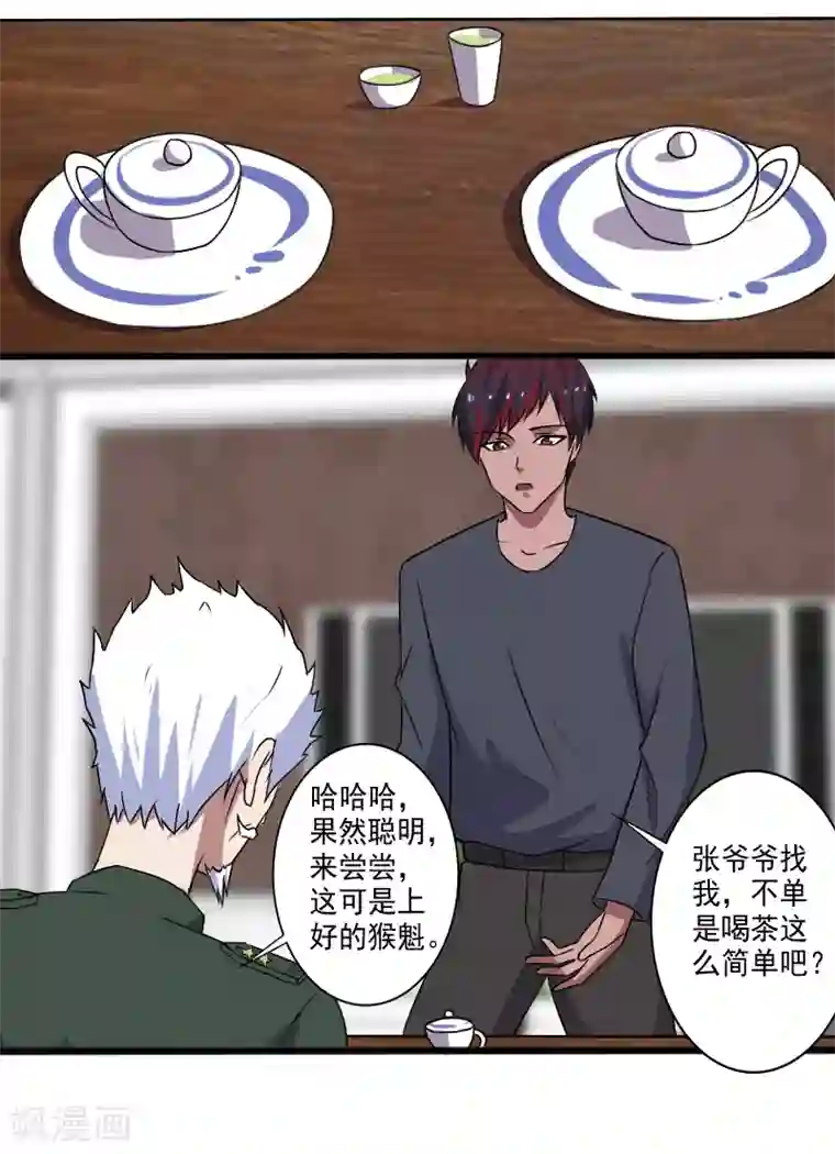 桃运高手第26话 加入特种部队