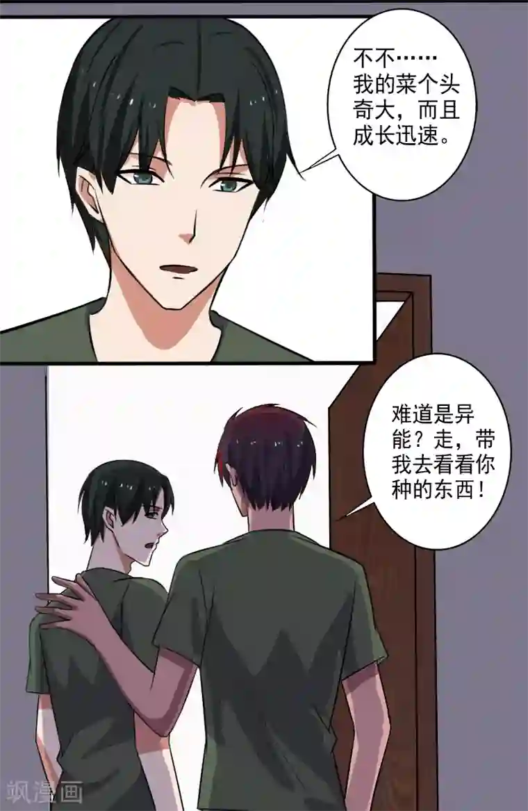 桃运高手第27话 新的伙伴