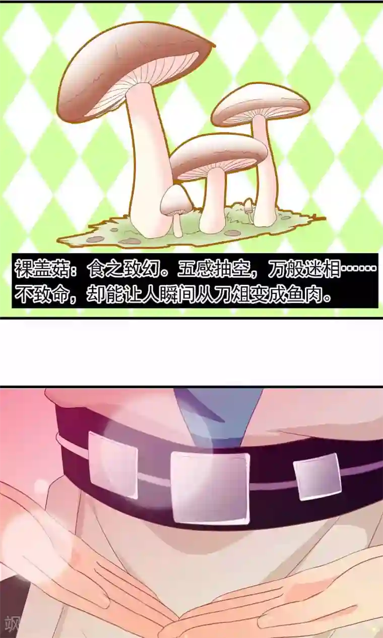 满朝文武嫉恨我第16话 王爷的追捕