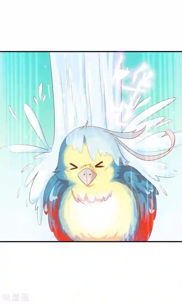 满朝文武嫉恨我第39话 红烧鹦鹉肉好不好？