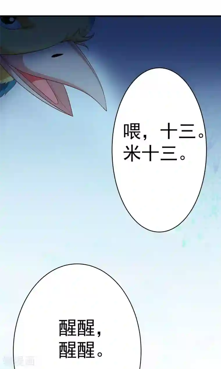 满朝文武嫉恨我第39话 红烧鹦鹉肉好不好？