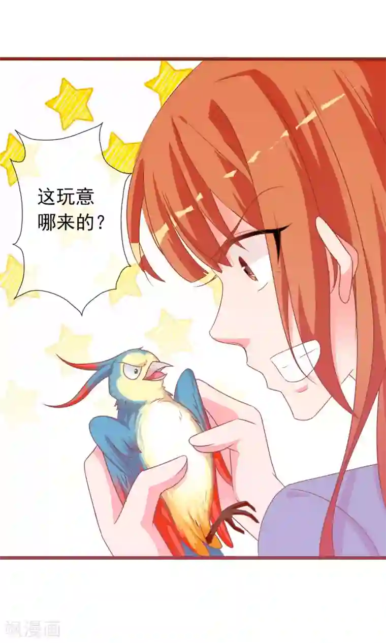 满朝文武嫉恨我第39话 红烧鹦鹉肉好不好？