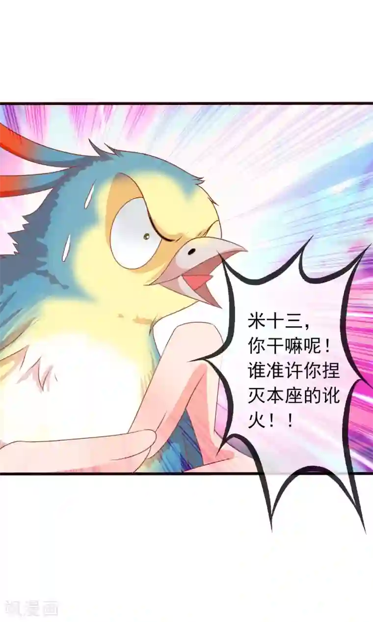 满朝文武嫉恨我第39话 红烧鹦鹉肉好不好？