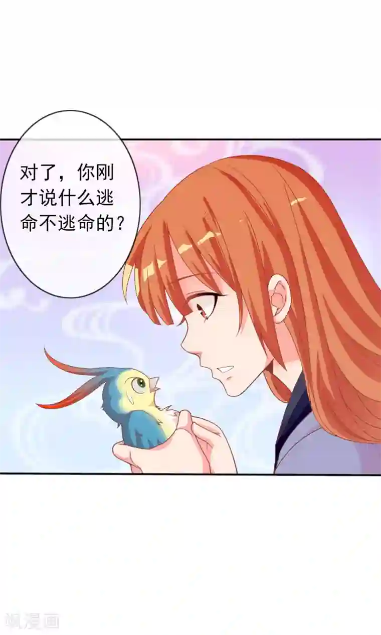 满朝文武嫉恨我第39话 红烧鹦鹉肉好不好？