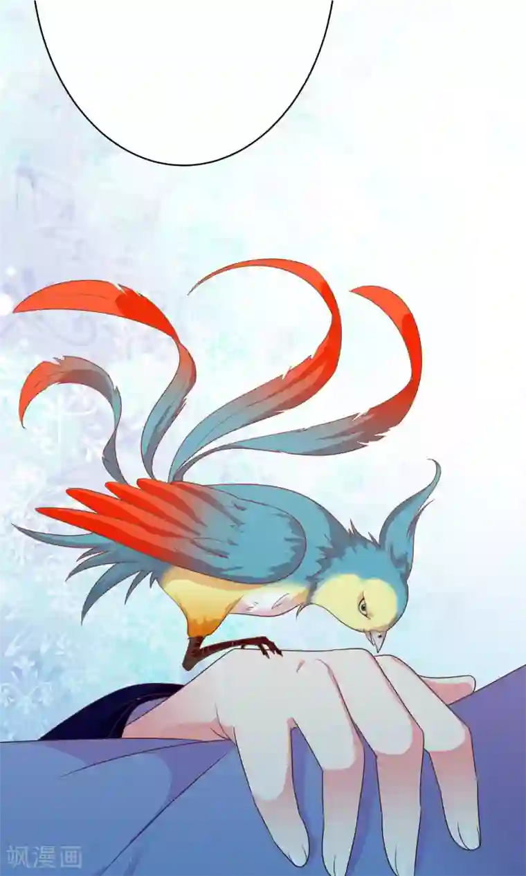 美女战士被触手怪辱污第39话 红烧鹦鹉肉好不好？