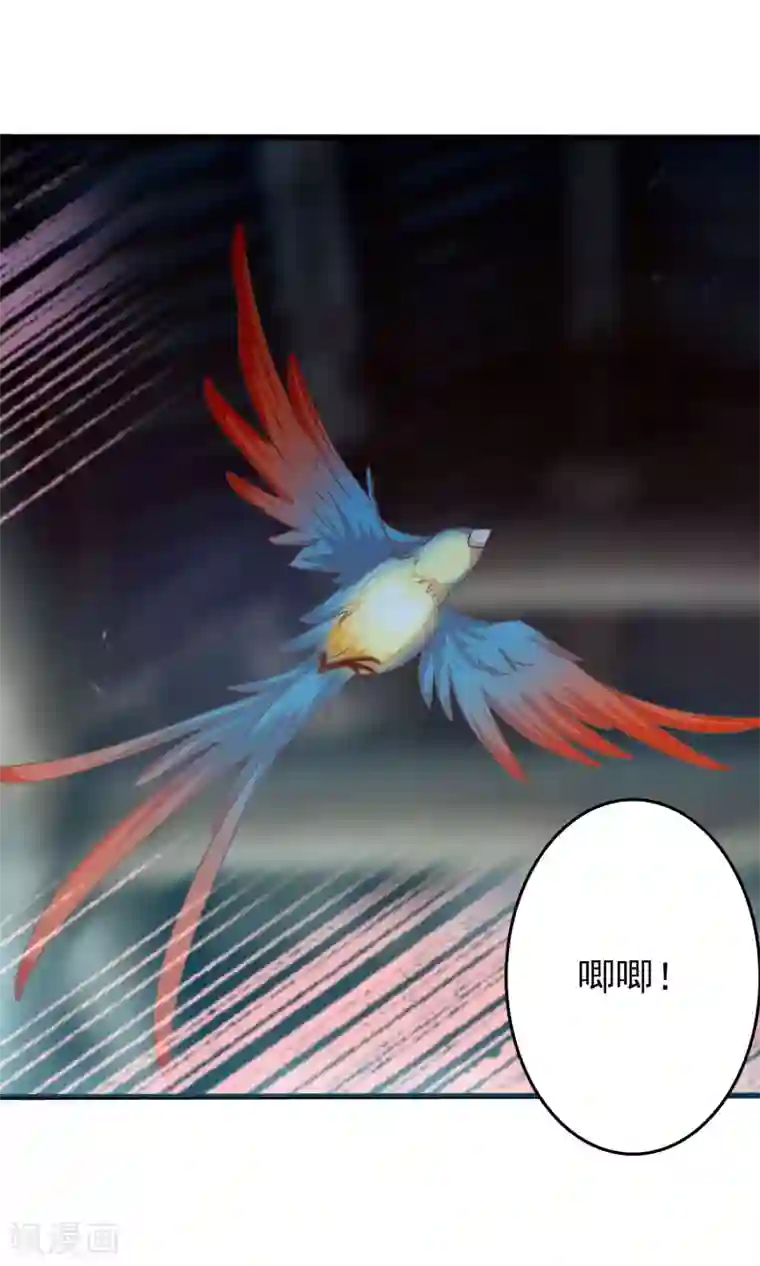 美女战士被触手怪辱污第39话 红烧鹦鹉肉好不好？