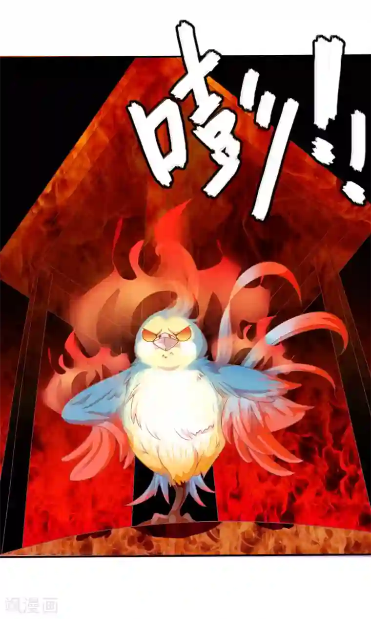 满朝文武嫉恨我第39话 红烧鹦鹉肉好不好？