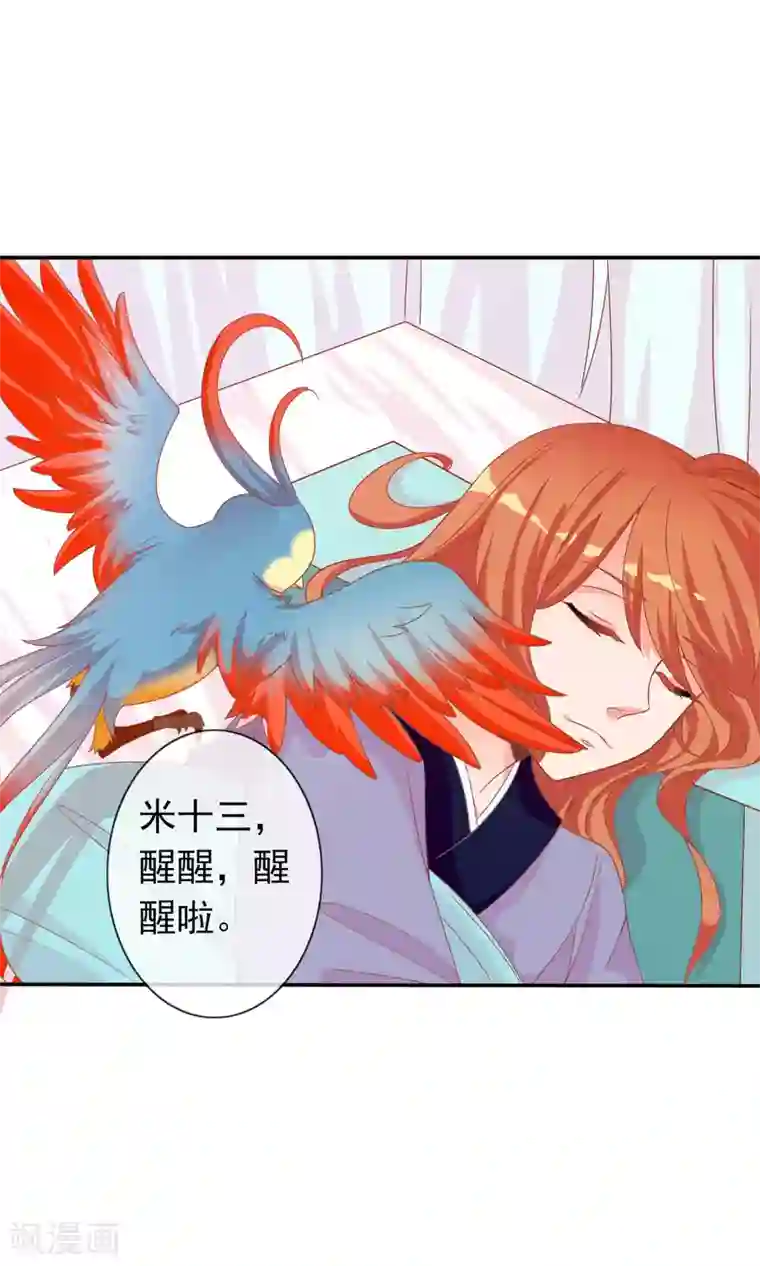 满朝文武嫉恨我第39话 红烧鹦鹉肉好不好？