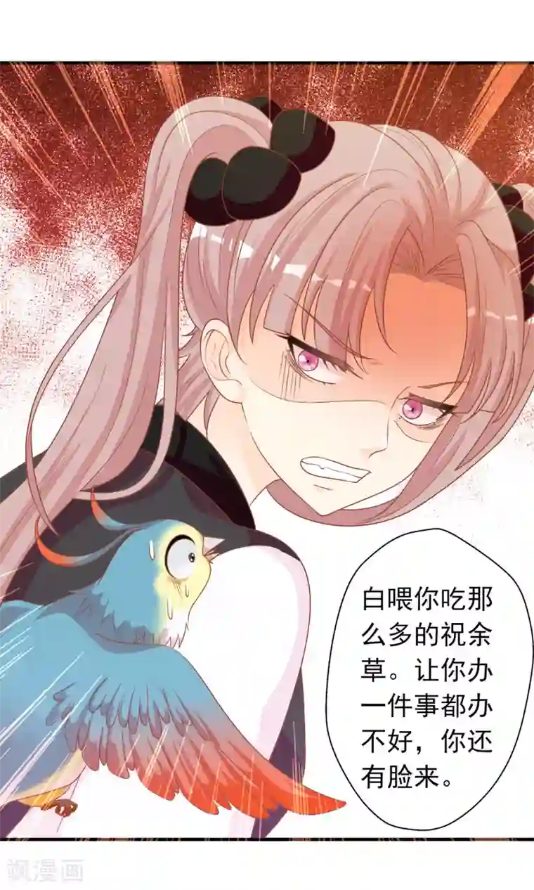 满朝文武嫉恨我第40话 女儿身的危机