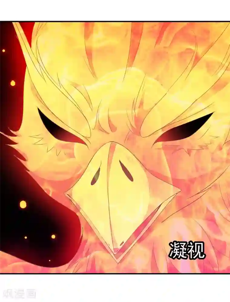 满朝文武嫉恨我第49话 大鸟的凝视