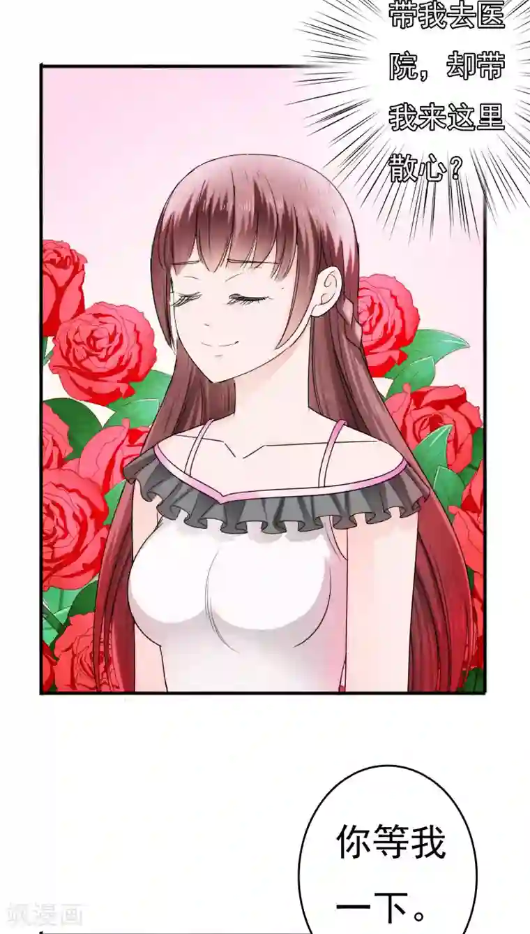 天价温柔受不起第25话