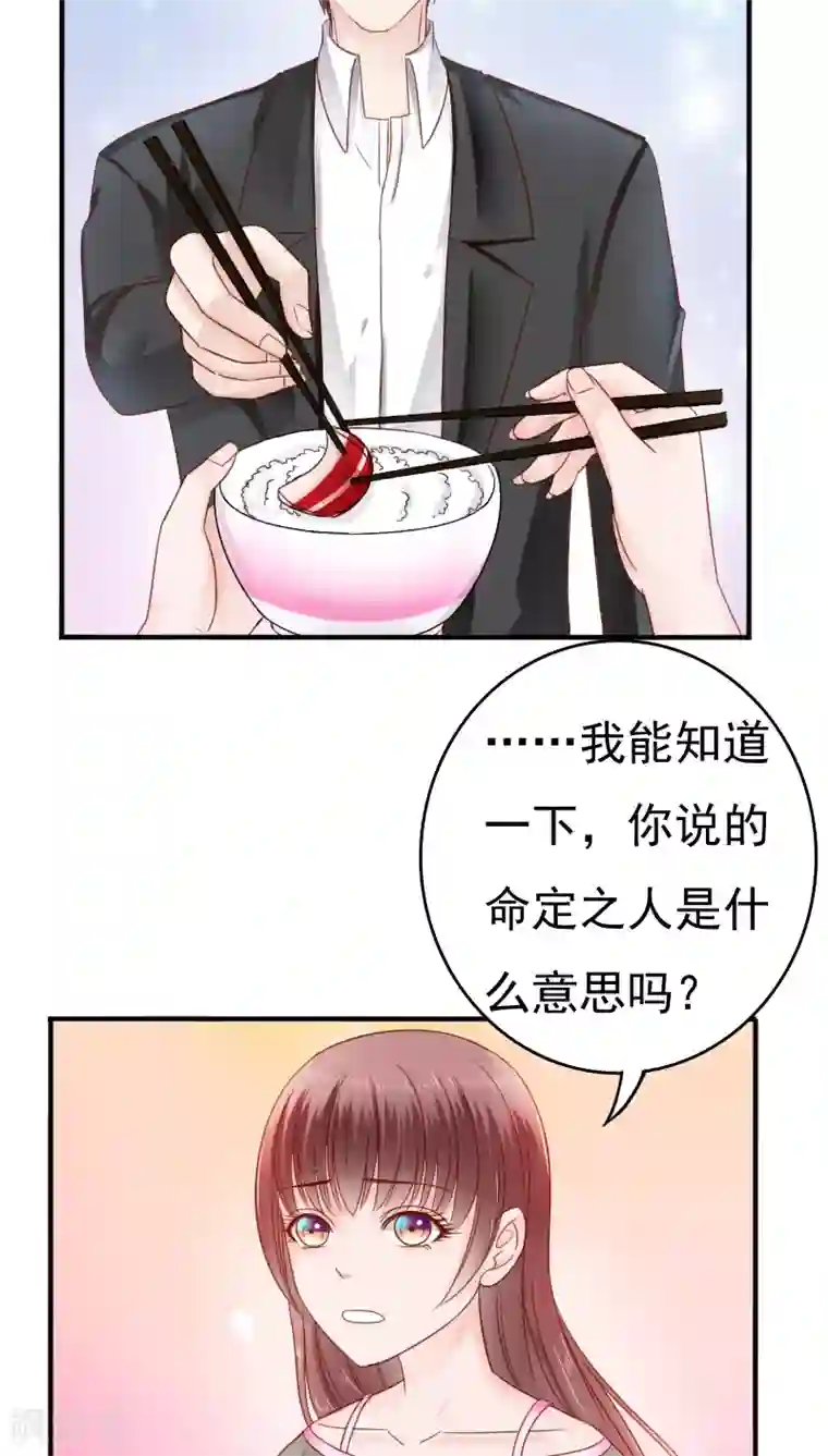 天价温柔受不起第31话