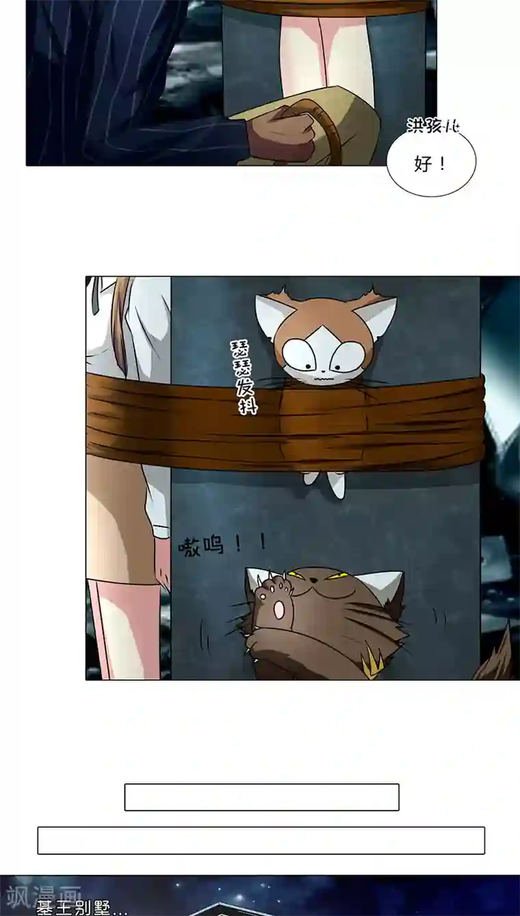 头牌主播第35话 商讨对策