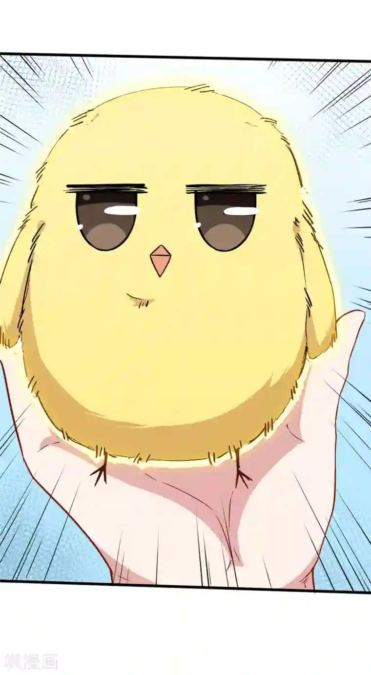 校园狂师第35话 冷星月与鸡