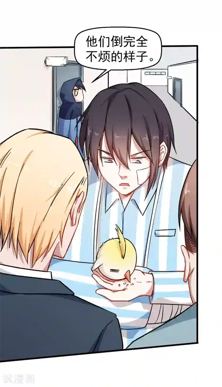 校园狂师第62话 磕头求饶