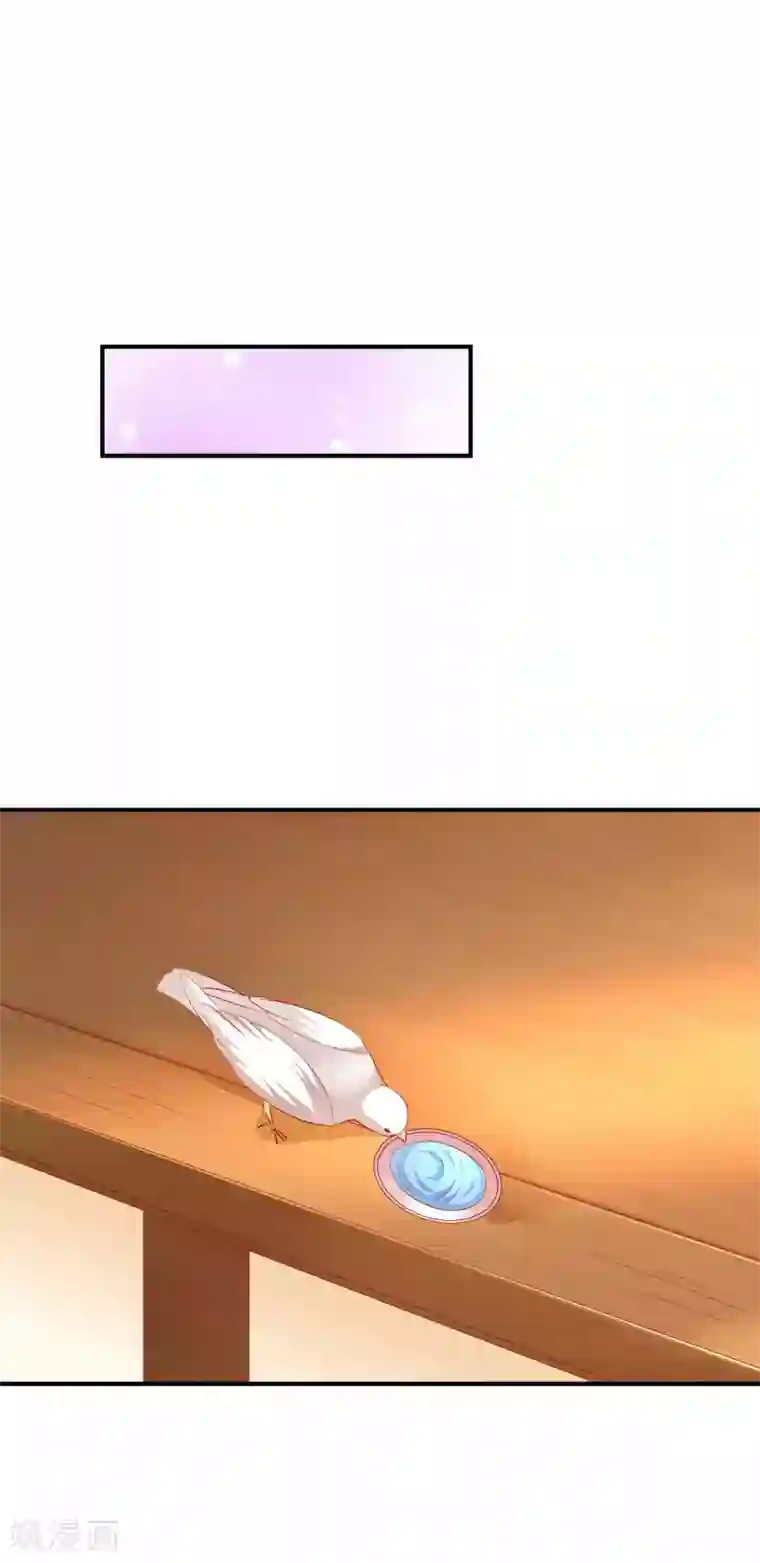 从此王爷不早朝第63话 一只猪的威力