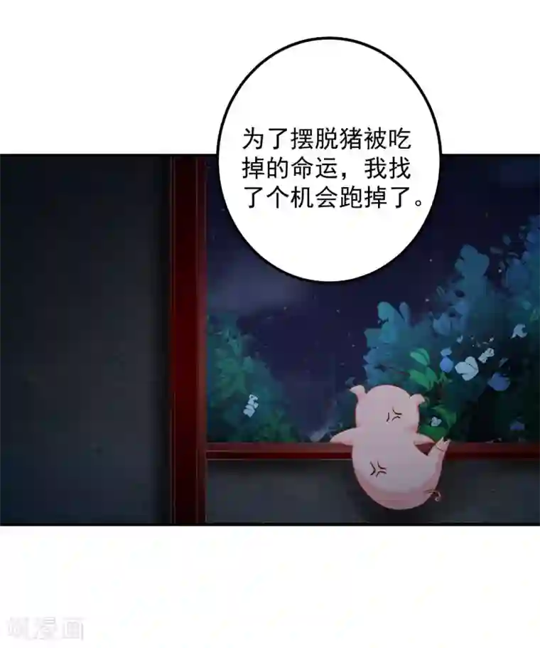 从此王爷不早朝第87话 我竟然还没有一只猪重要？！