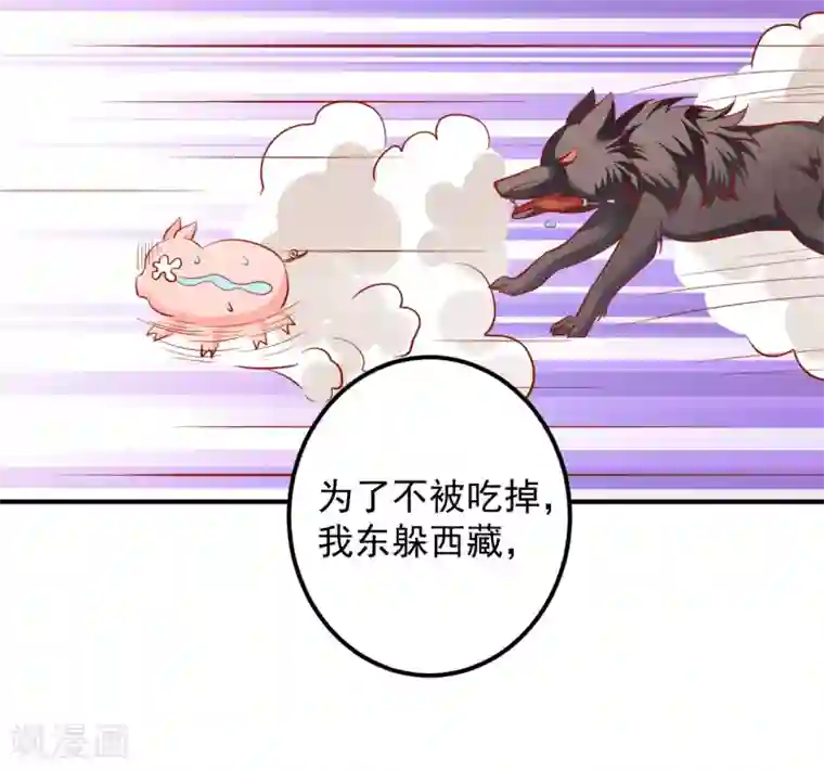 从此王爷不早朝第87话 我竟然还没有一只猪重要？！