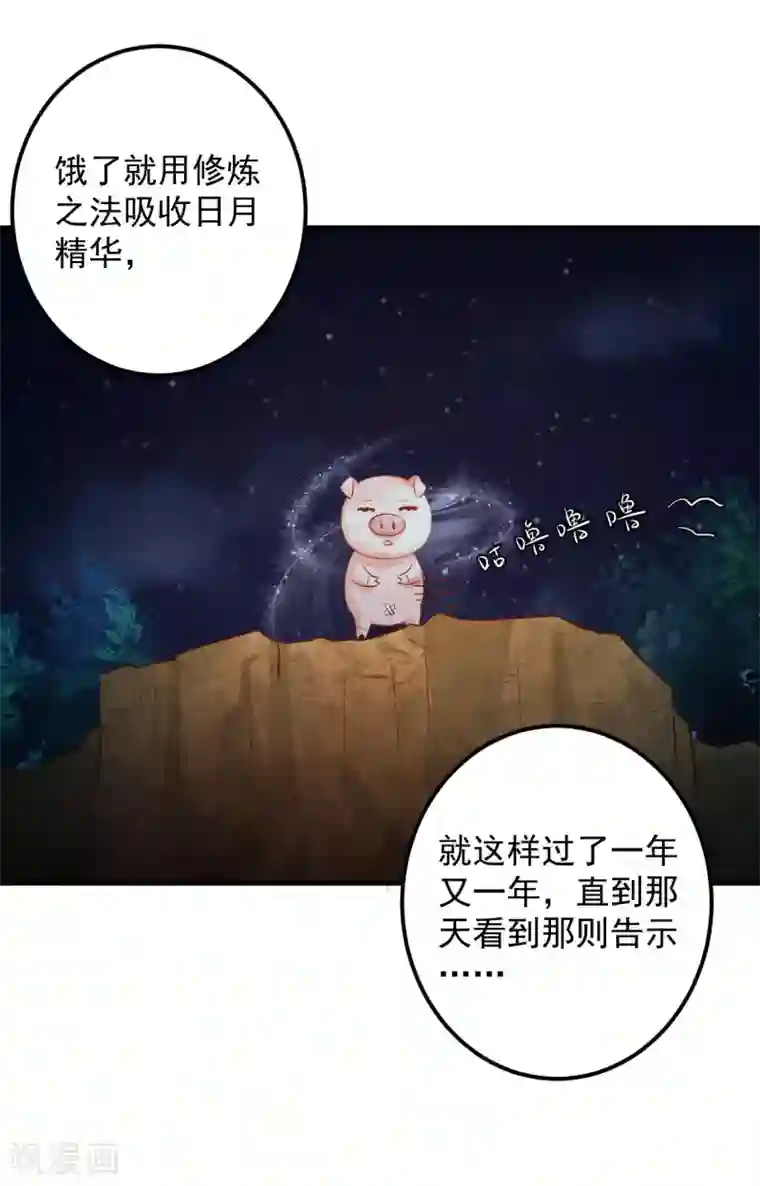 从此王爷不早朝第87话 我竟然还没有一只猪重要？！