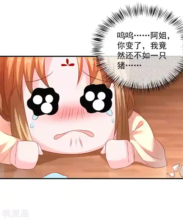 从此王爷不早朝第87话 我竟然还没有一只猪重要？！