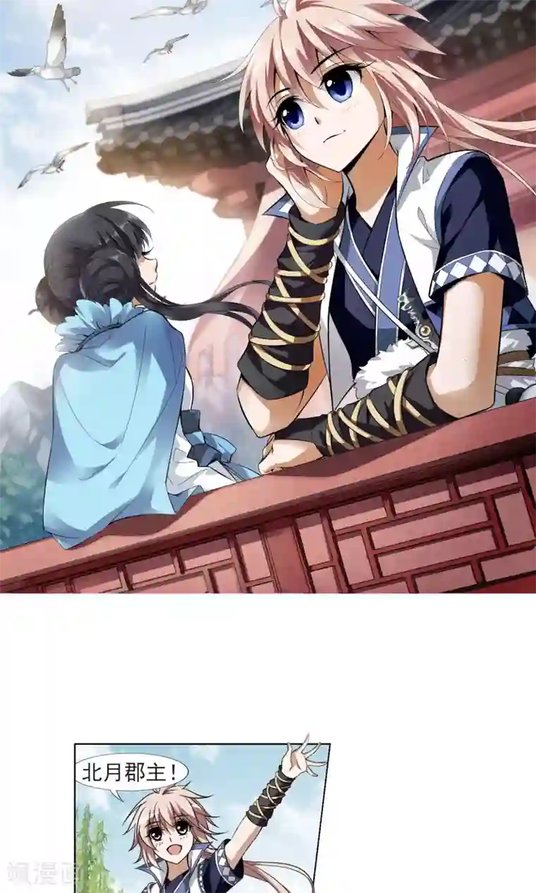 凤逆天下第102话 炼药之术3