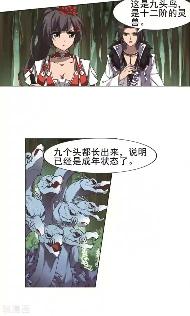 凤逆天下第268话 初战红莲1(2)