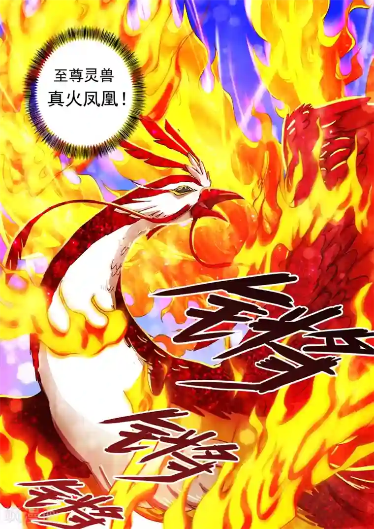 灵剑尊第99话 轮回天书