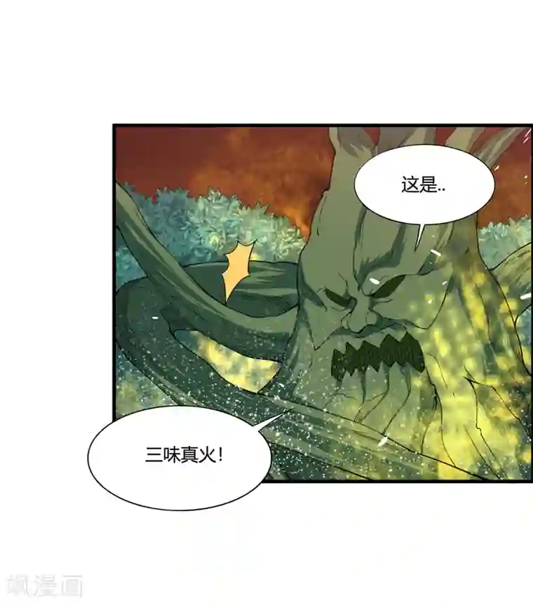 我把天道修歪了第53话 困在同一片树林的两个人