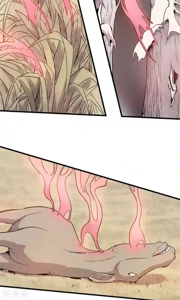 龙之九子第12话