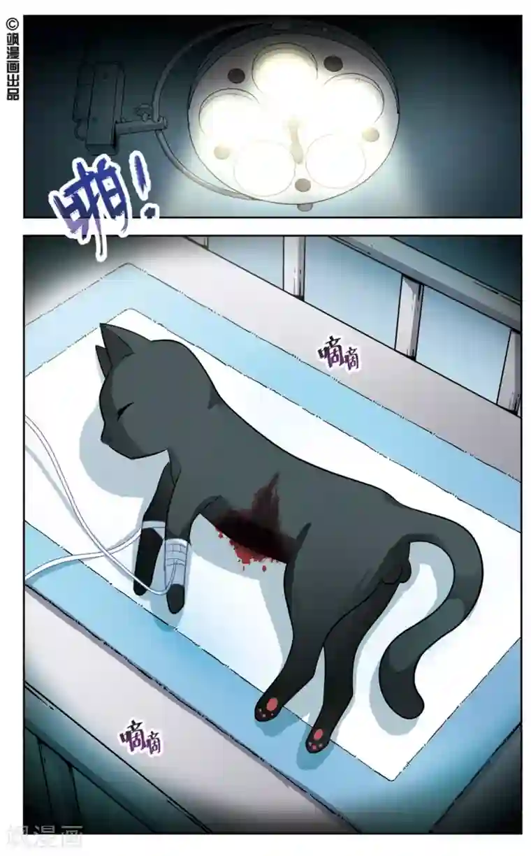 玄羽恋歌第1话 黑猫1