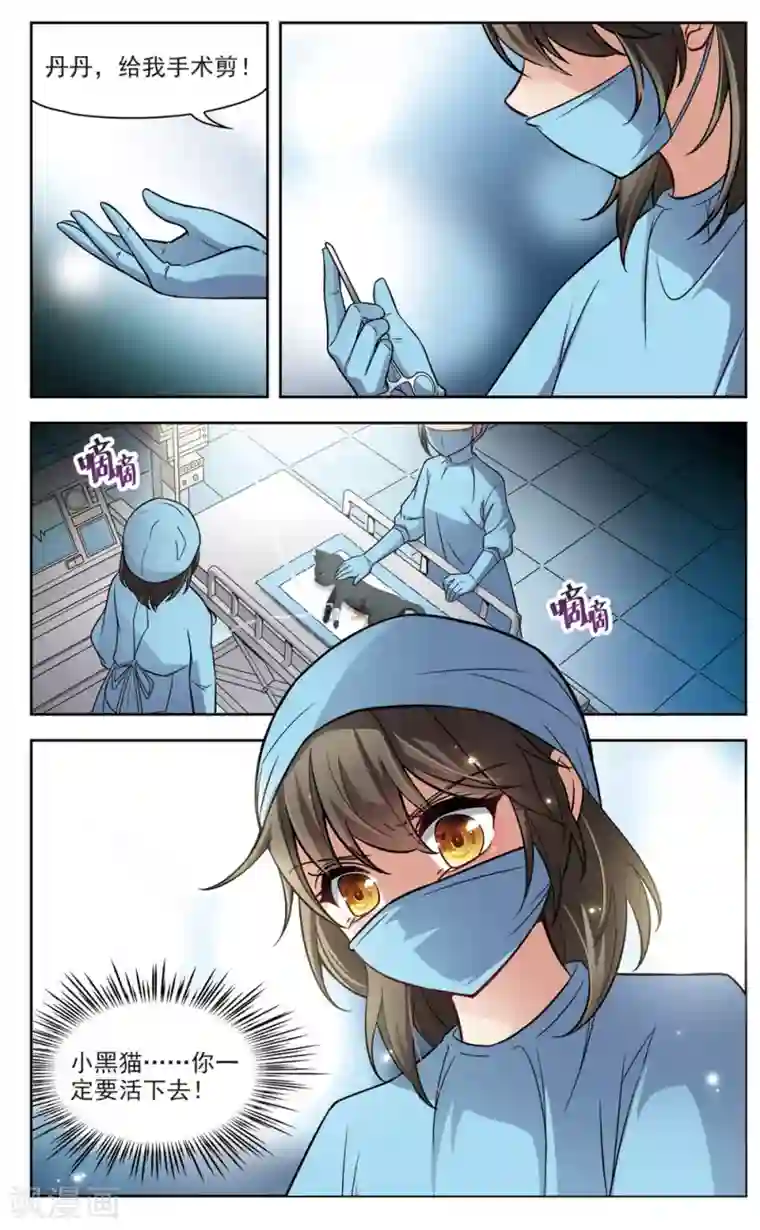 玄羽恋歌第1话 黑猫1