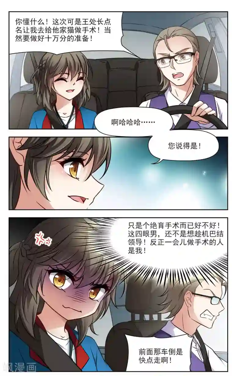 玄羽恋歌第1话 黑猫1