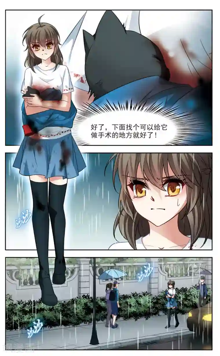 玄羽恋歌第2话 黑猫2